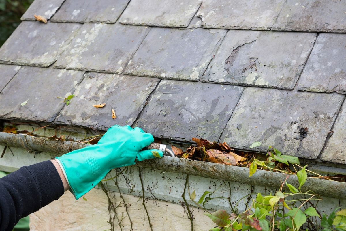 cleaning blocked gutter of leaves